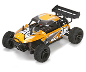 Roost Desert Buggy 1:24 4WD