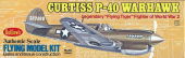 Curtiss P-40 Warhawk (419 mm)