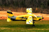 120&quot; Turbo Bushmaster - żółto/czarny 3,06m