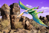 Zielona piłka ręczna Pteranodon